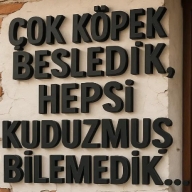 seslichat